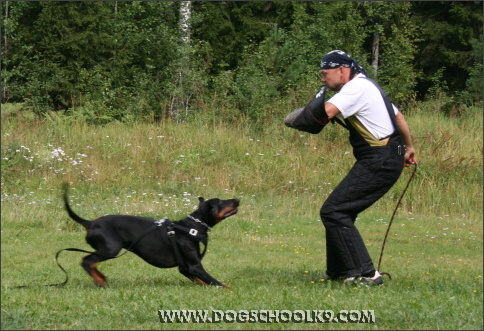 Summer training camp in Finland 2007